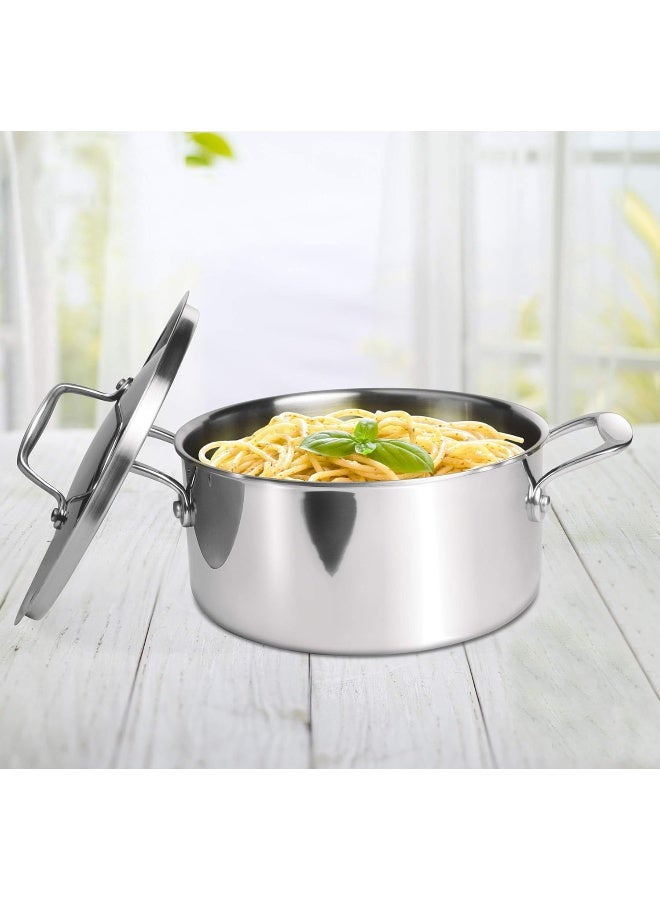 MILTON Pro cook قدر ستانلس ستيل ثلاثي الطبقات هاندي/وعاء تخزين/وعاء برياني مع غطاء 28 سم، 8.3 لتر، وعاء للطهي والتقديم، مناسب للغاز والتحريض - Image 4